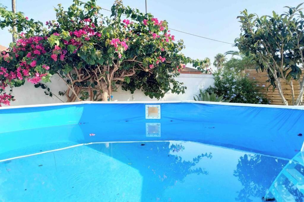 Apartamento Privado Con Jardin, Piscina Elevada Y Bbq Chiclana de la Frontera Exterior foto
